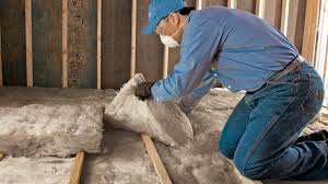 Professional Insulation in Luverne, MN